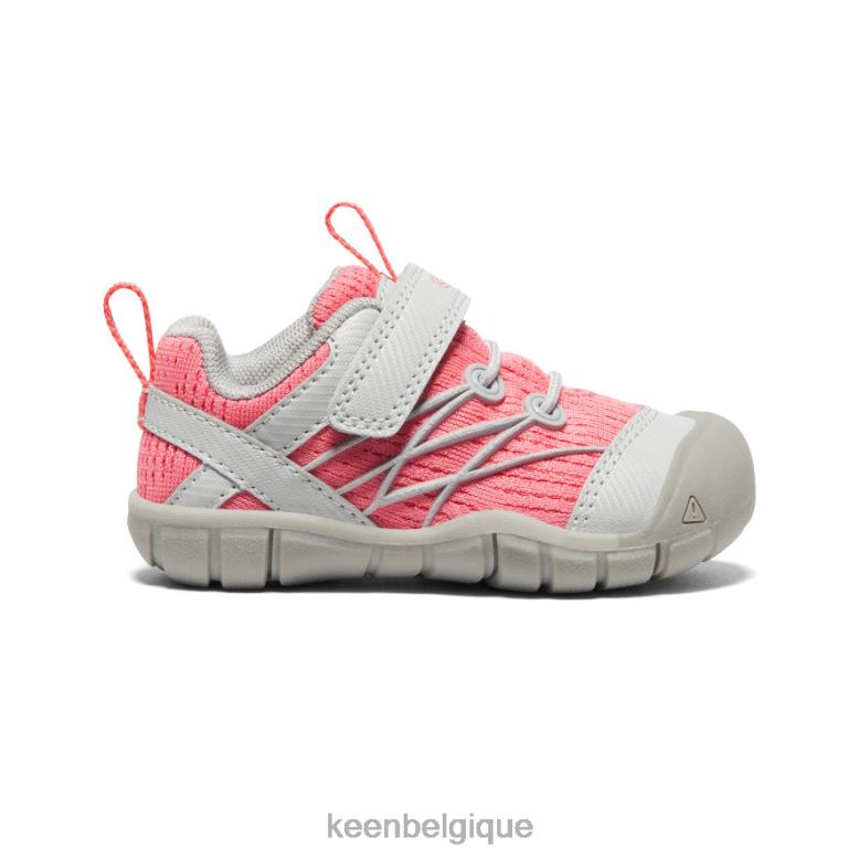 chaussure KEEN Chandler CNX bruine/dubarry les tout-petits PD0JD900