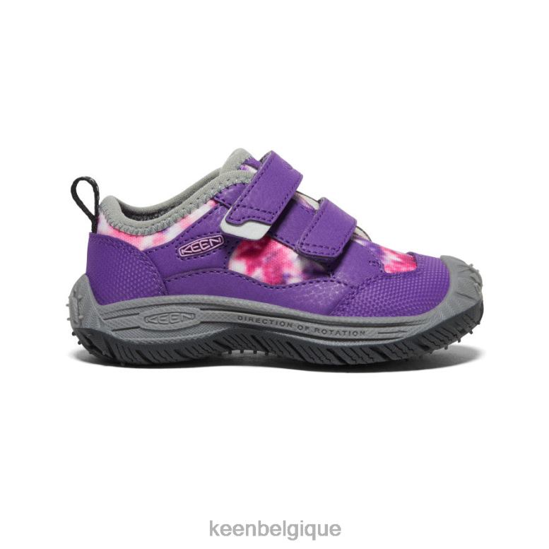 chaussure KEEN chien de vitesse Tillandsia violet/multi les tout-petits PD0JD920