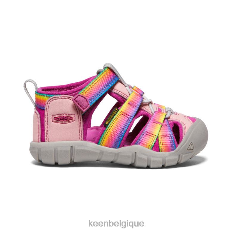 chaussure KEEN camp marin ii cnx arc-en-ciel/fuchsia festival les tout-petits PD0JD823