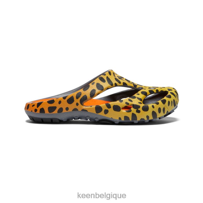 chaussure KEEN arts shanti le guépard arc-en-ciel femmes PD0JD670
