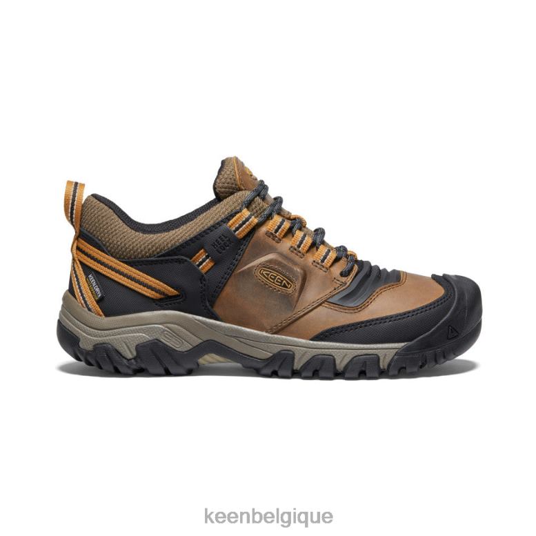 chaussure KEEN Ridge Flex imperméable à l'eau bison/brun doré Hommes PD0JD250