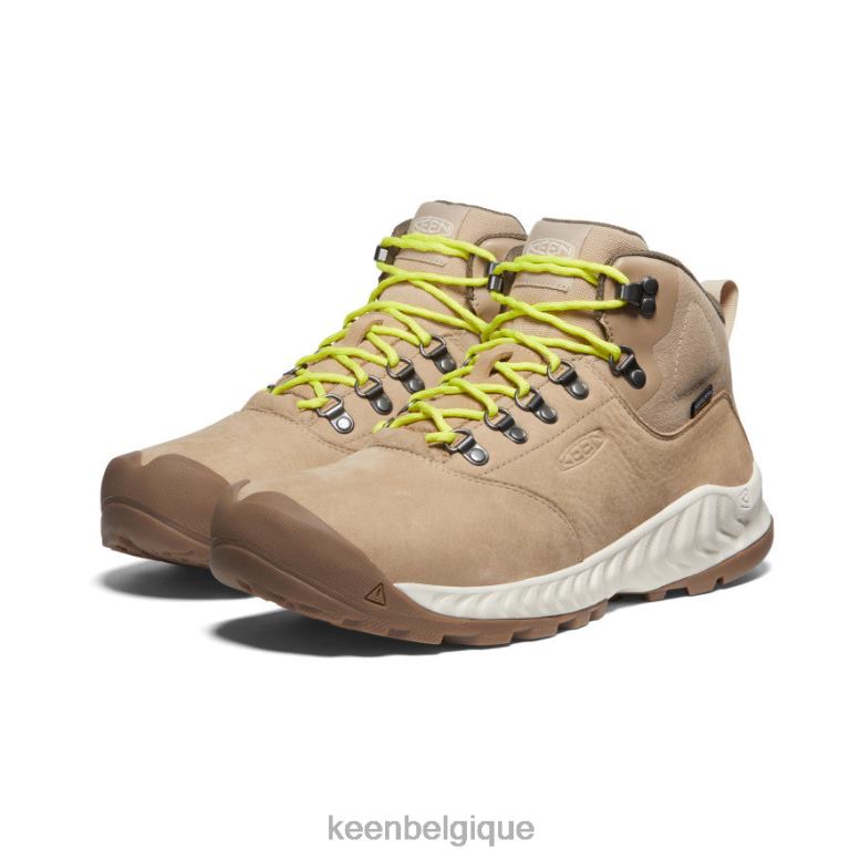 chaussure KEEN botte imperméable nxis explorer safari/bouleau Hommes PD0JD13