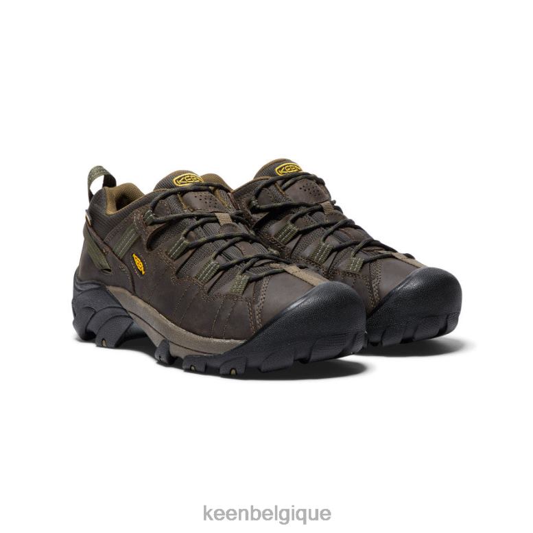 chaussure KEEN Targhee II étanche cantine/olive foncée Hommes PD0JD208