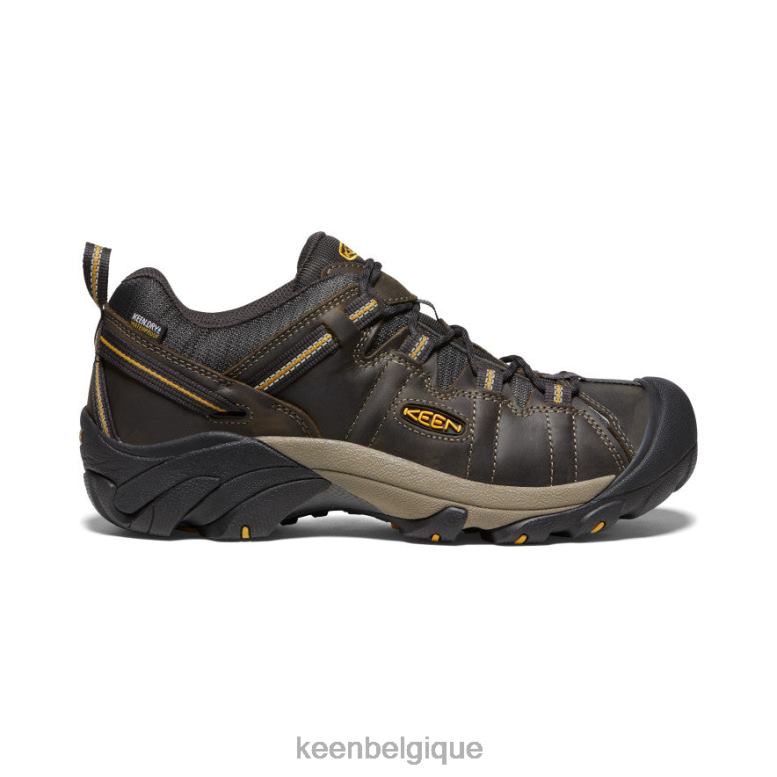 chaussure KEEN Targhee II étanche corbeau/olive fauve Hommes PD0JD207