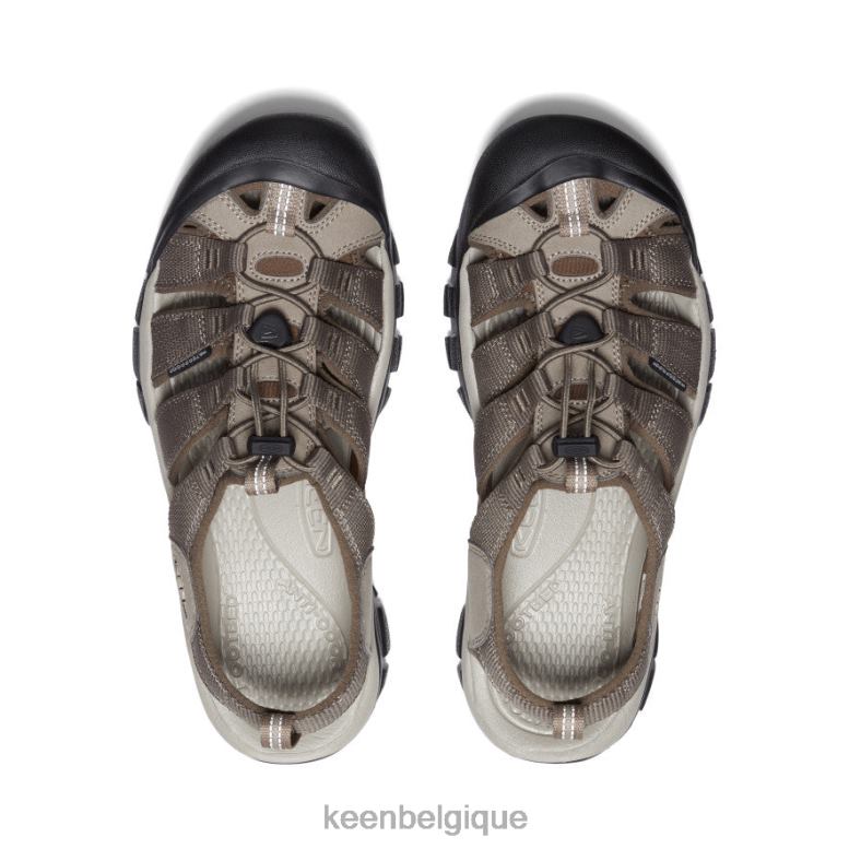 chaussure KEEN newport h2 bringé/cantine Hommes PD0JD43