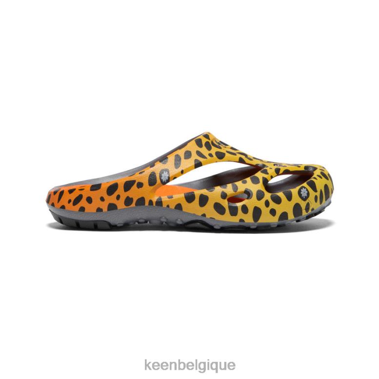 chaussure KEEN arts shanti le guépard arc-en-ciel Hommes PD0JD130