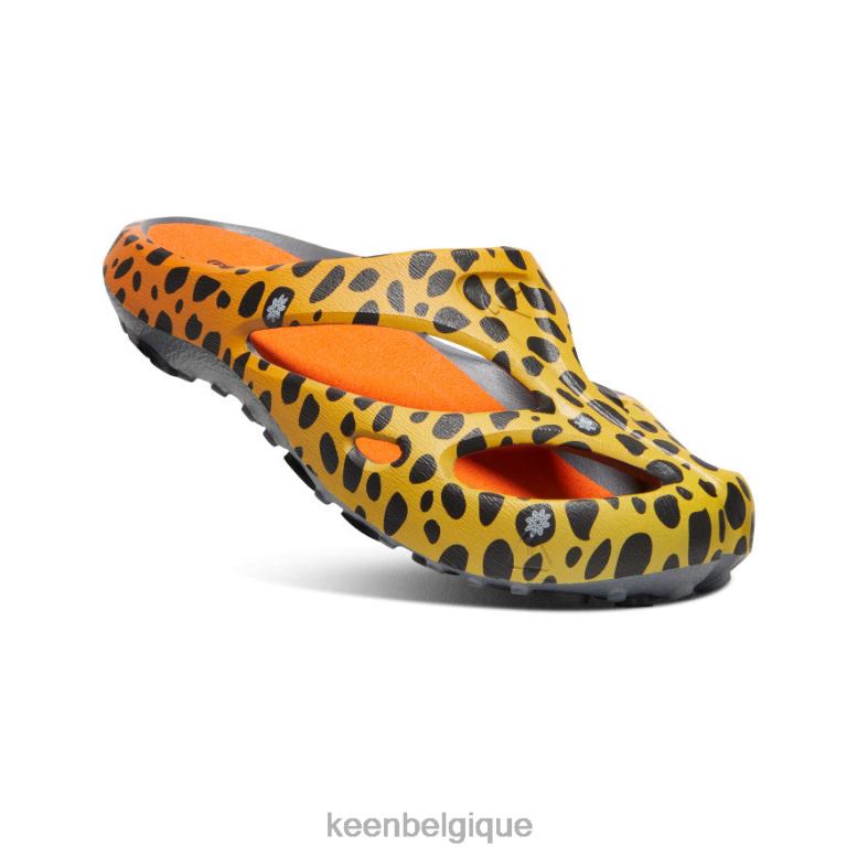 chaussure KEEN arts shanti le guépard arc-en-ciel Hommes PD0JD130