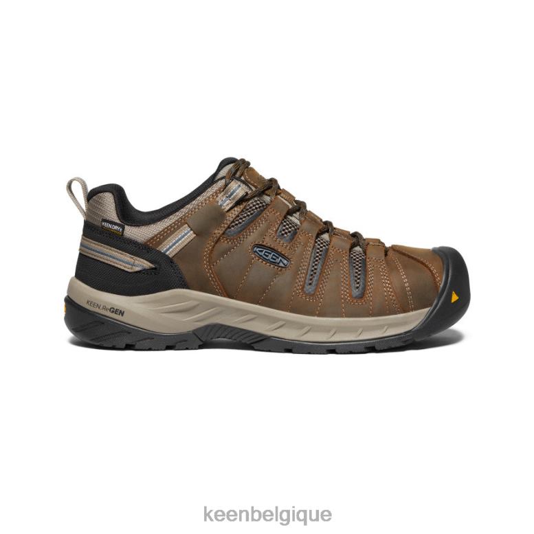 chaussure KEEN Flint II imperméable (embout en acier) marron cascade/bleu orion Hommes PD0JD280